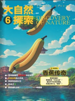 它不仅为我们提供了丰富的知识和信息