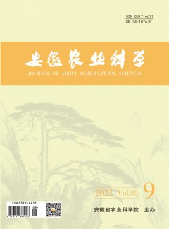 自1990年创刊