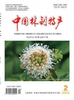 球探下载使用方法简介