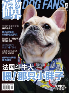 一个社会的记录者