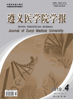 球探下载正式成为那不勒斯官方合作伙伴