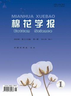 不涉及出版