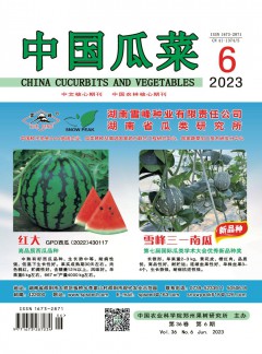 发表指导 / 首页 / zazhi 