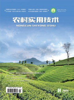 球探下载