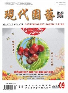 公开信息按发布时间滚动