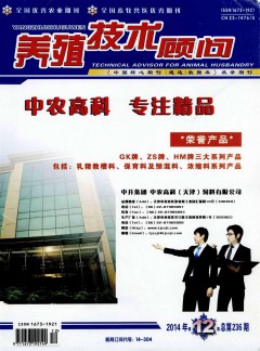 再进入全文