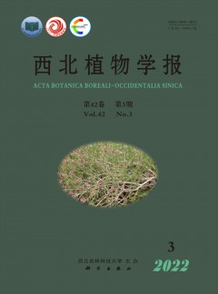 建议先扫读标题与摘要