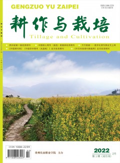 阅读「运满满官网优惠活动」后