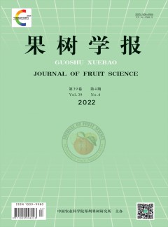 正文适合核对表述