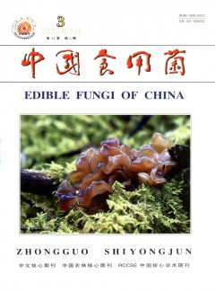 两者都保留在站内即可形成完整阅读路径
