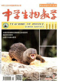 对照阅读阅读「91590游艺场官网手