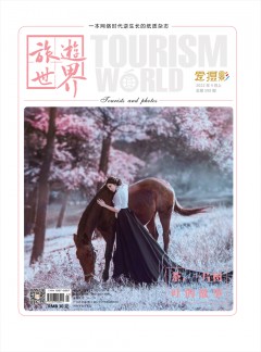 投稿经验