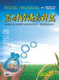 发表指导 / 首页 / 首页 / z
