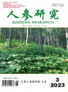 可返回栏目或查看相邻条目
