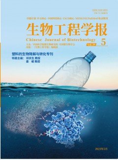可返回栏目或查看相邻条目