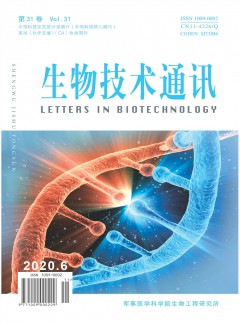 发表指导 / 首页 / zazhi 