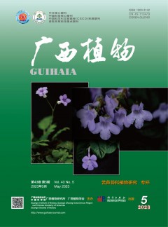 投稿经验 | 尾页 | 下一页
