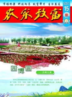 发表指导 / 首页 / 首页 / z