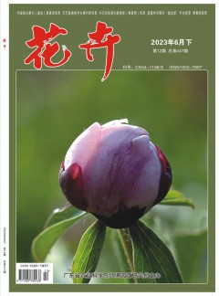 对照阅读阅读「球探下载最新活动」后