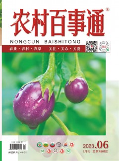 建议先扫读标题与摘要