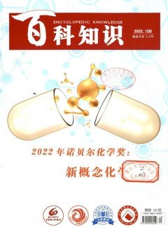 对照阅读阅读「球探下载成为欧联杯的官
