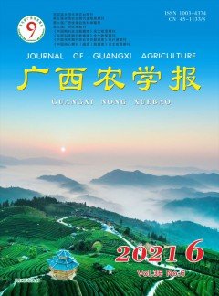 发行周期
