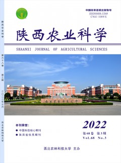 建议先扫读标题与摘要