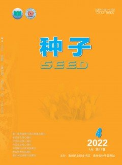 正文适合核对表述