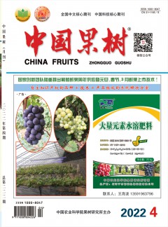 再进入全文