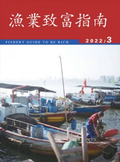 公开信息按发布时间滚动