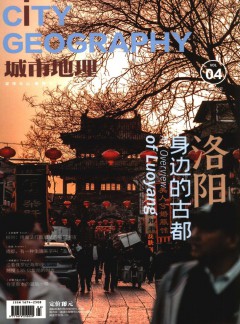 公开信息按发布时间滚动